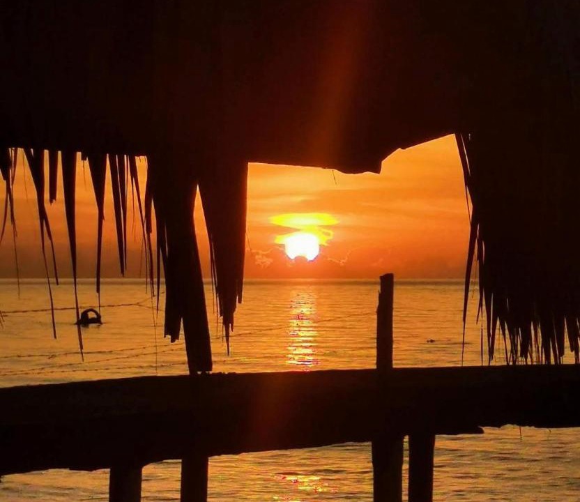 Photo of Others in Puerto Bahia