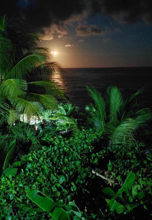 Photo of Others in La Cienaga