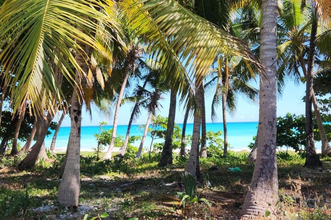 Photo of Others in Paraiso