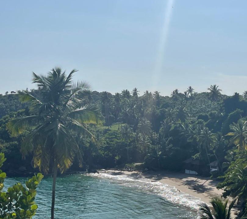 Photo of Others in Samana