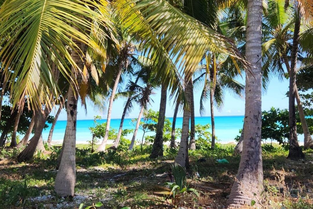 Photo of Others in Paraiso