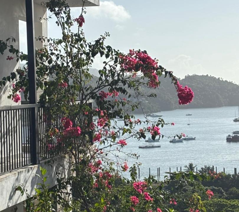 Photo of Others in Samana