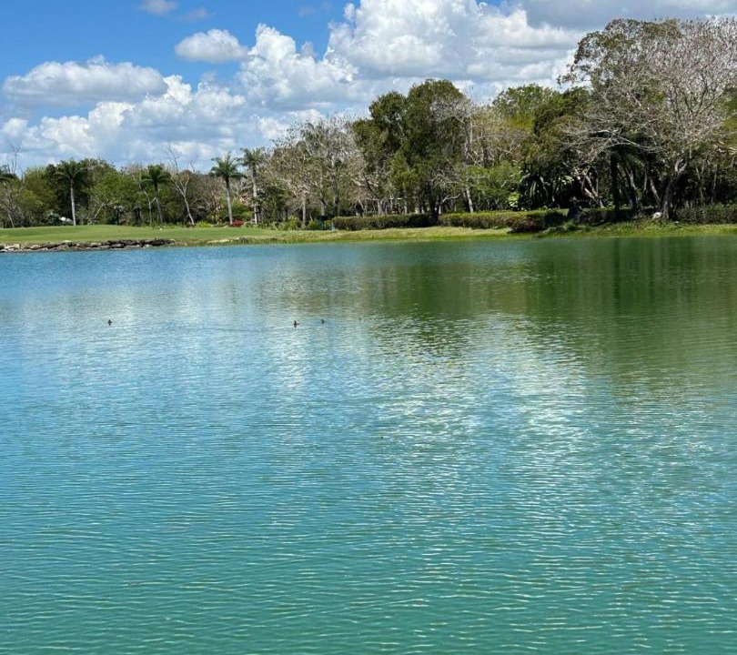 Photo of Others in Guayacanes