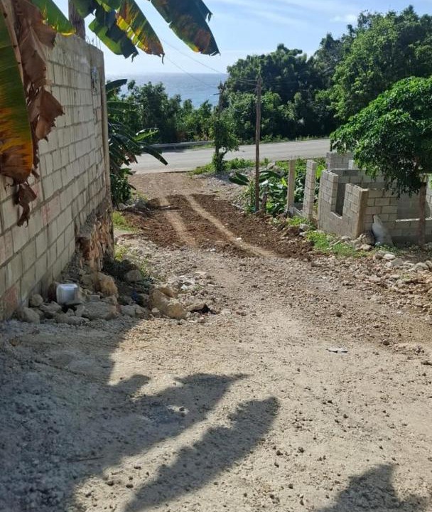 Photo of Others in La Cienaga