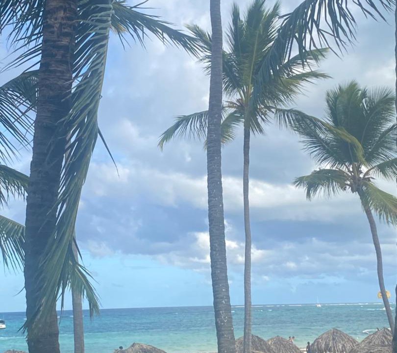 Photo of Others in Bavaro