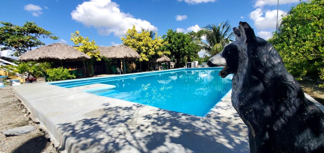 Photo of Others in La Vega