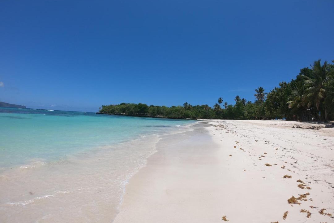 Photo of Others in Las Galeras