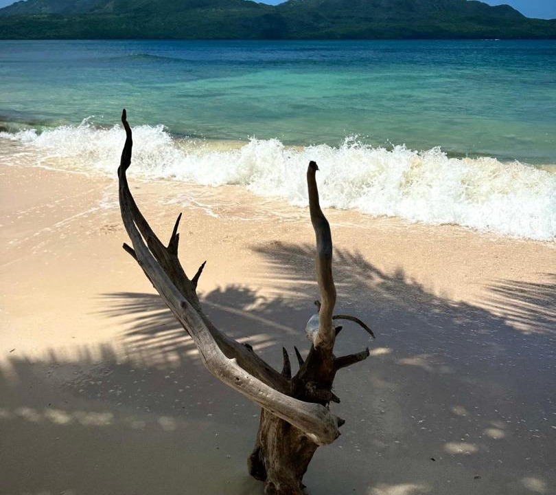 Photo of Others in Las Galeras