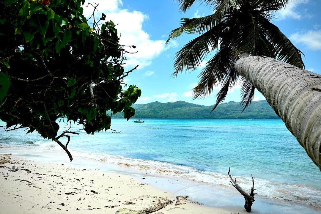 Photo of Others in Las Galeras