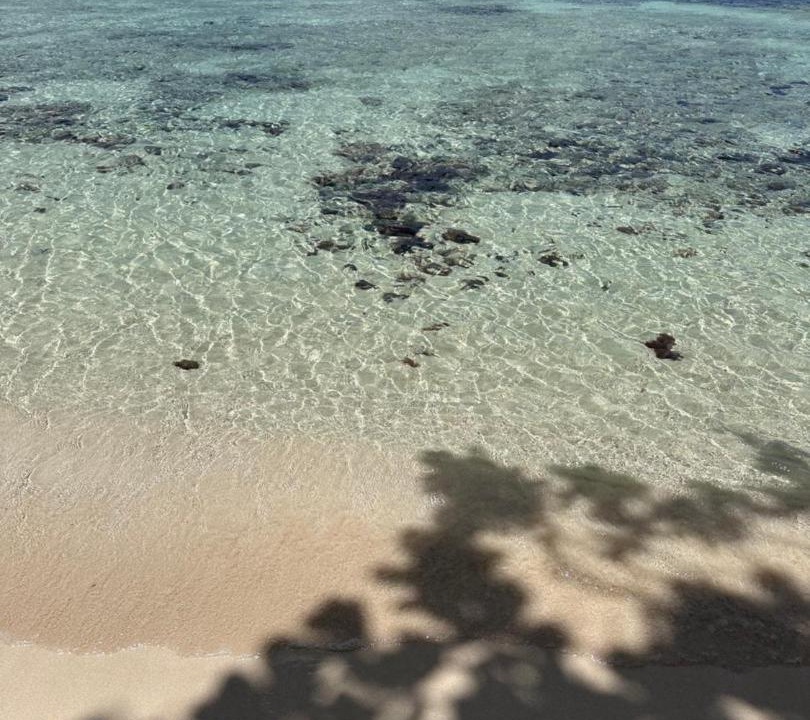 Photo of Others in Las Galeras