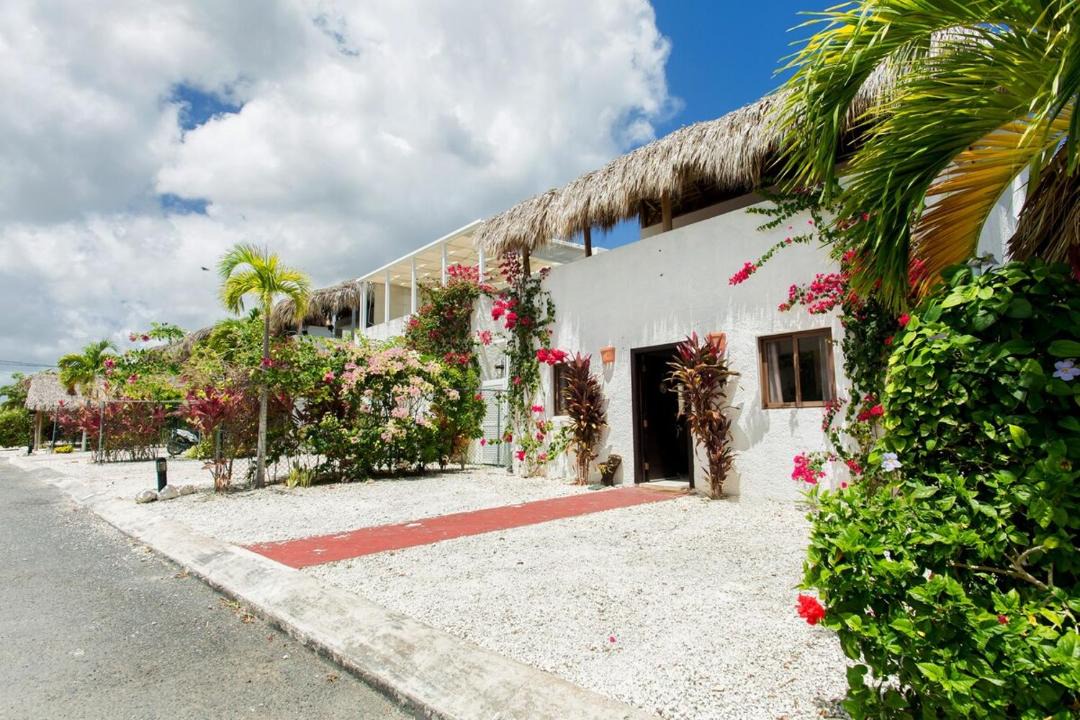 Photo of Others in Bavaro