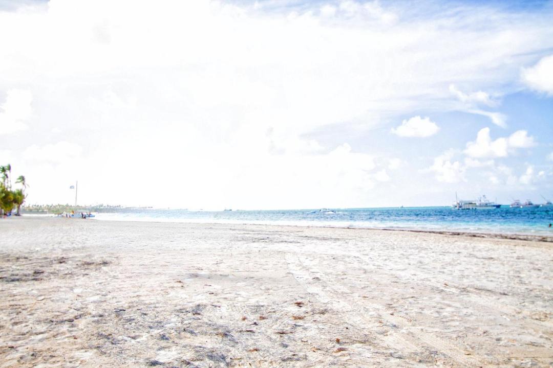 Photo of Others in Playa Bibijagua