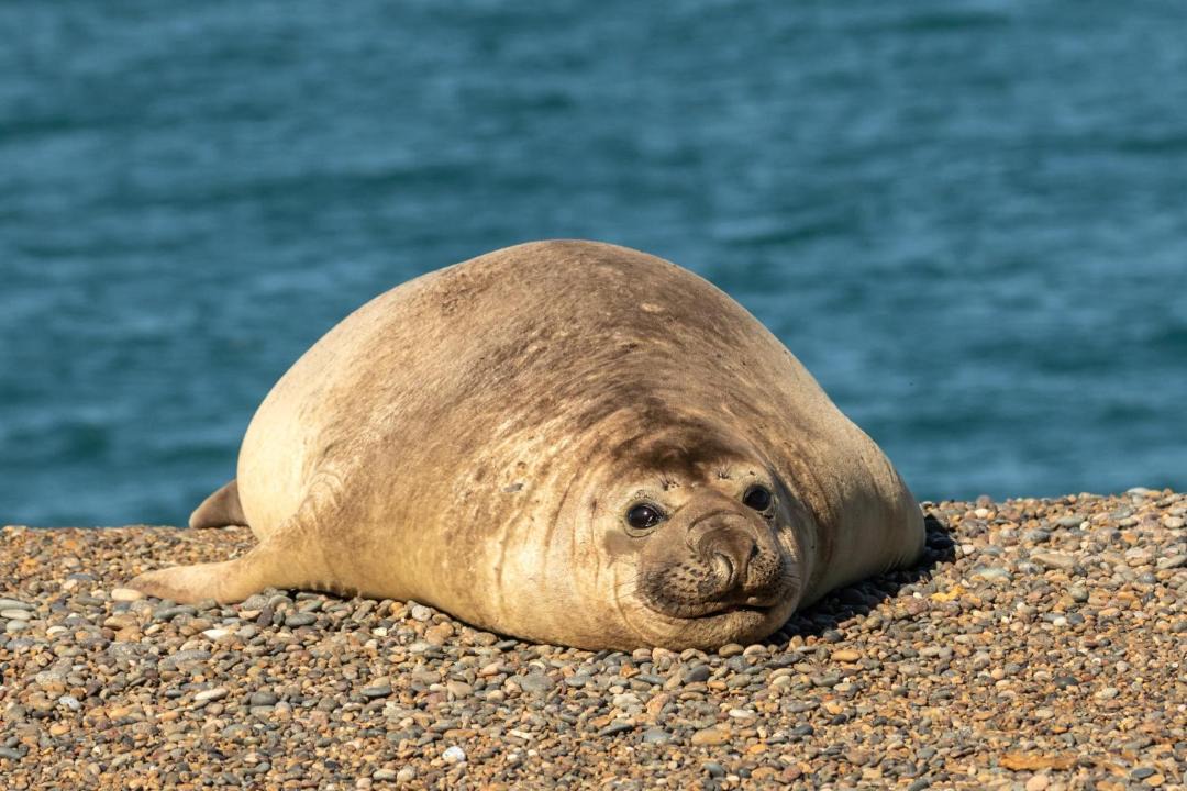 Photo of Others in Punta Delgada