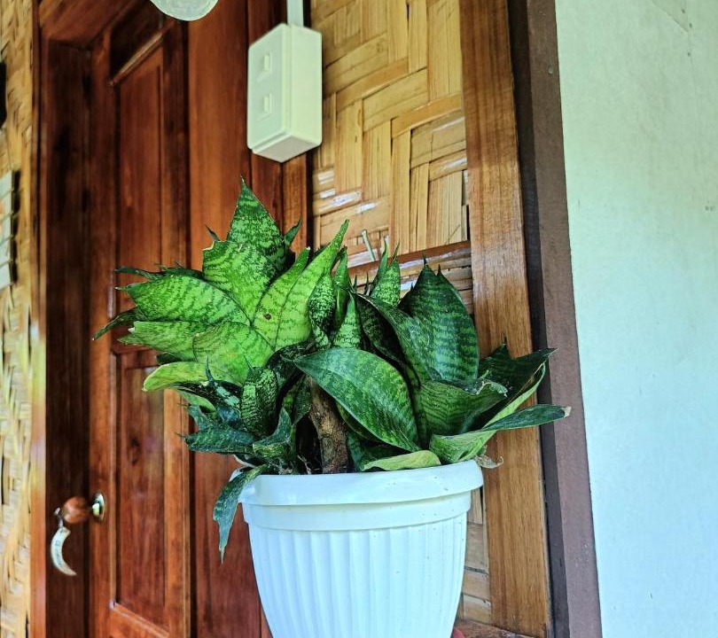 Photo of Others in San Vicente