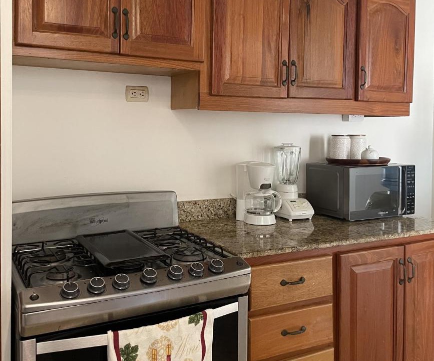 Photo of Kitchen in Playa Bibijagua