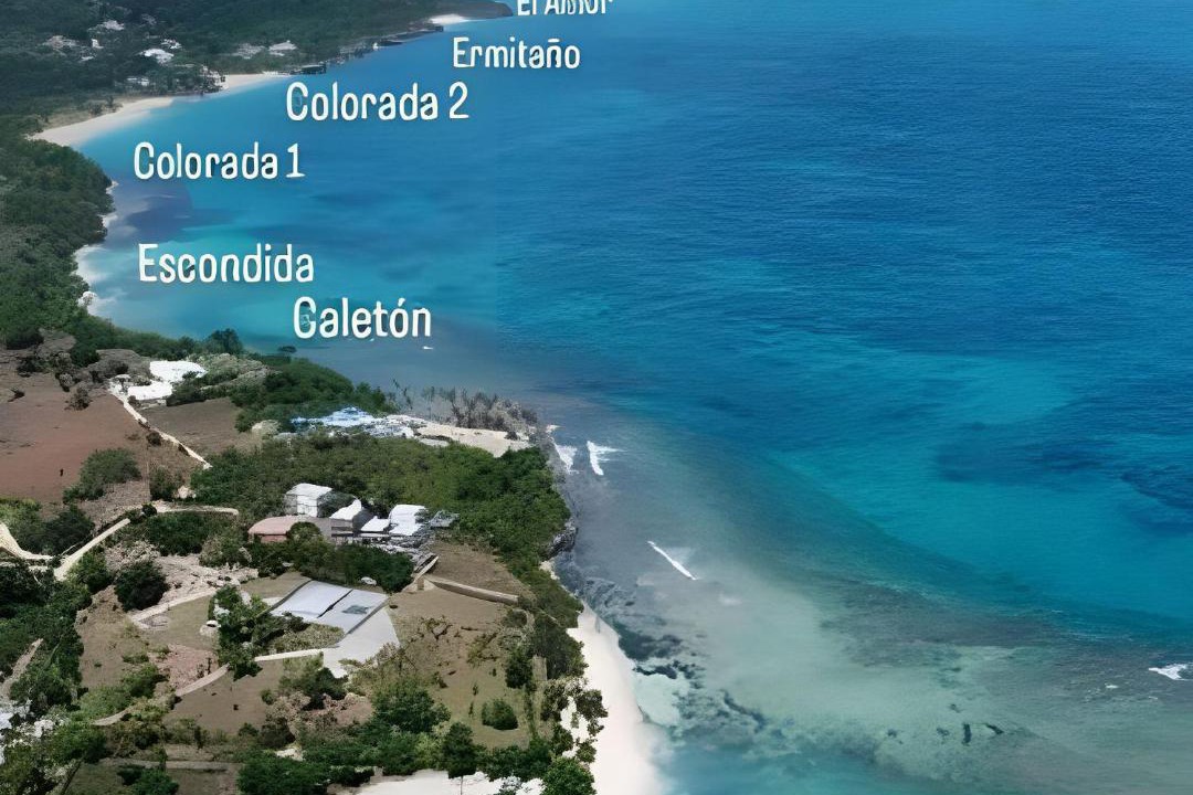 Photo of Others in Las Galeras
