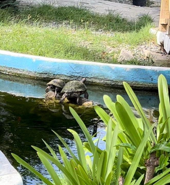 Photo of Others in Villas Del Mar