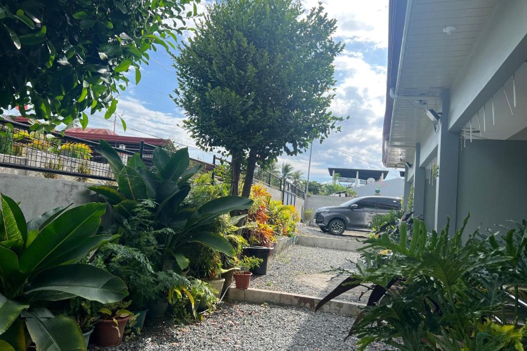 Photo of Others in Moalboal