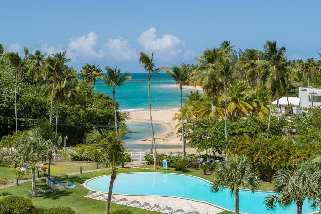 Photo of Others in Las Terrenas