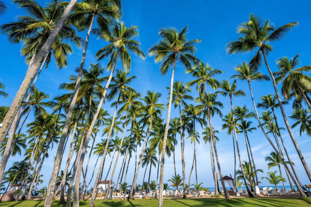 Photo of Others in Las Terrenas