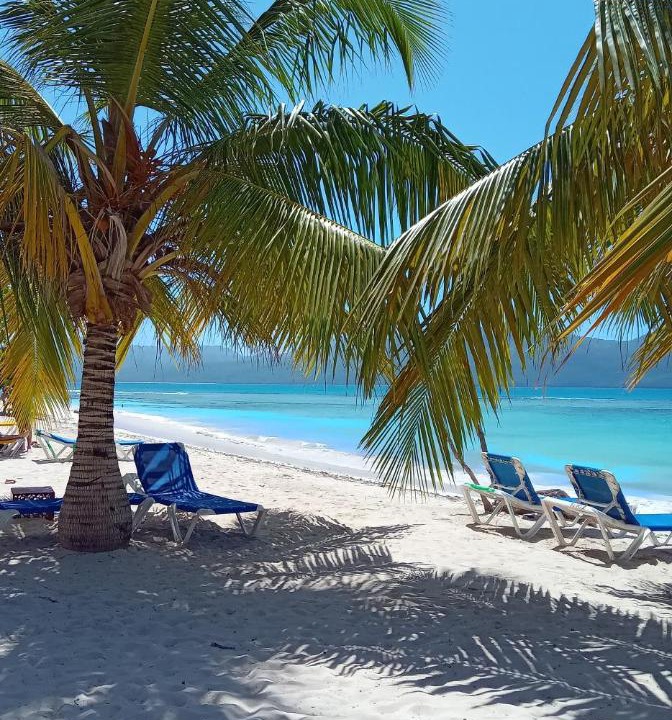 Photo of Others in Las Galeras