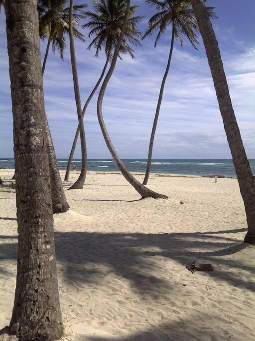 Photo of Others in Villas Del Mar