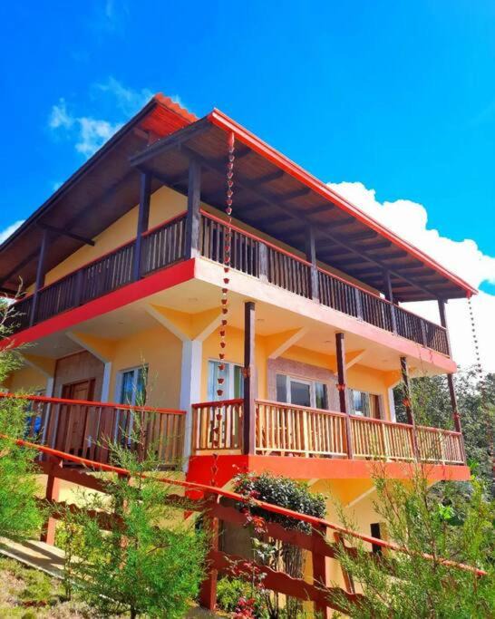 Photo of Buildings in Constanza