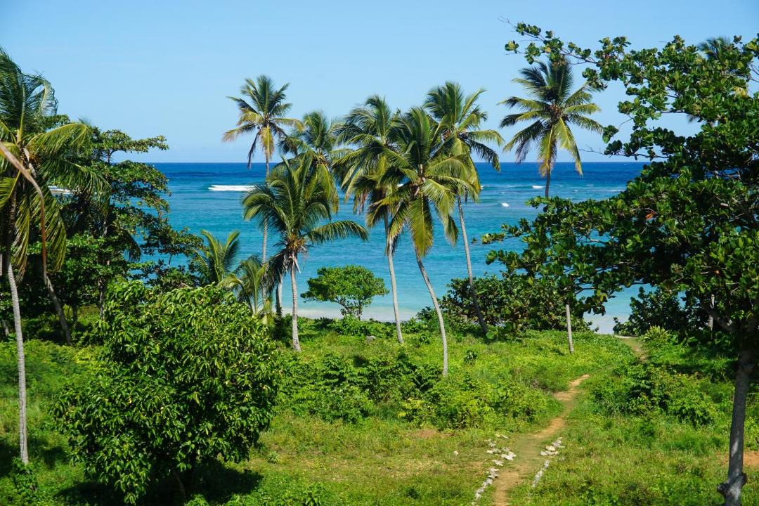 Photo of Others in Las Galeras