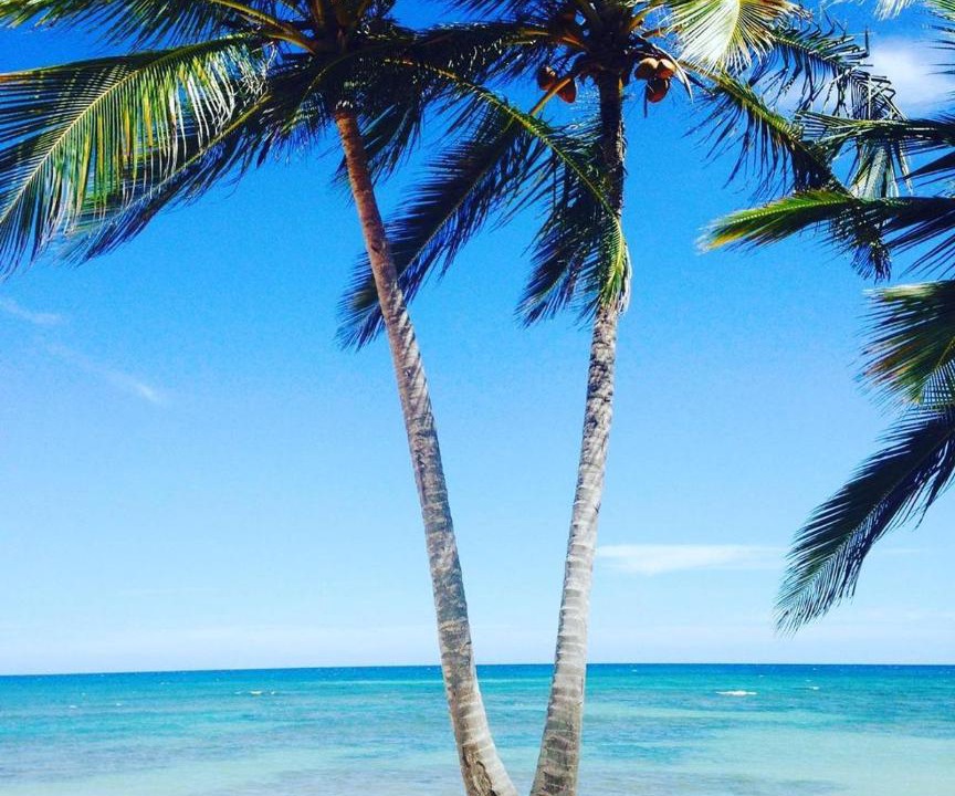 Photo of Others in Punta Cana