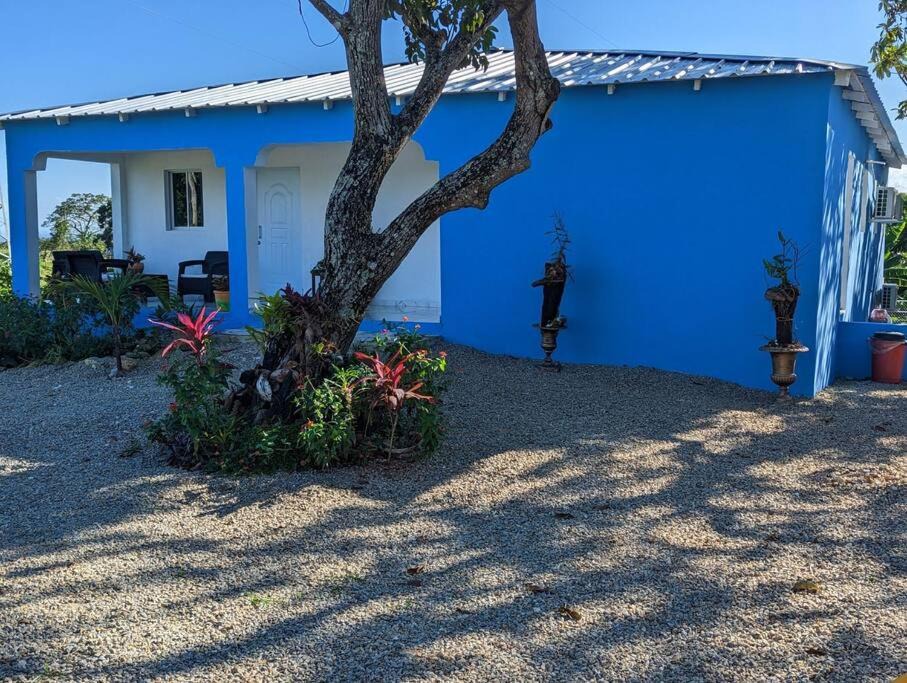 Photo of Others in Cabrera