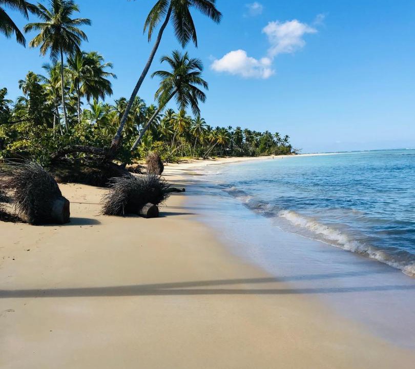 Photo of Others in Las Terrenas