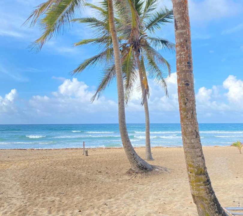Photo of Others in Punta Cana