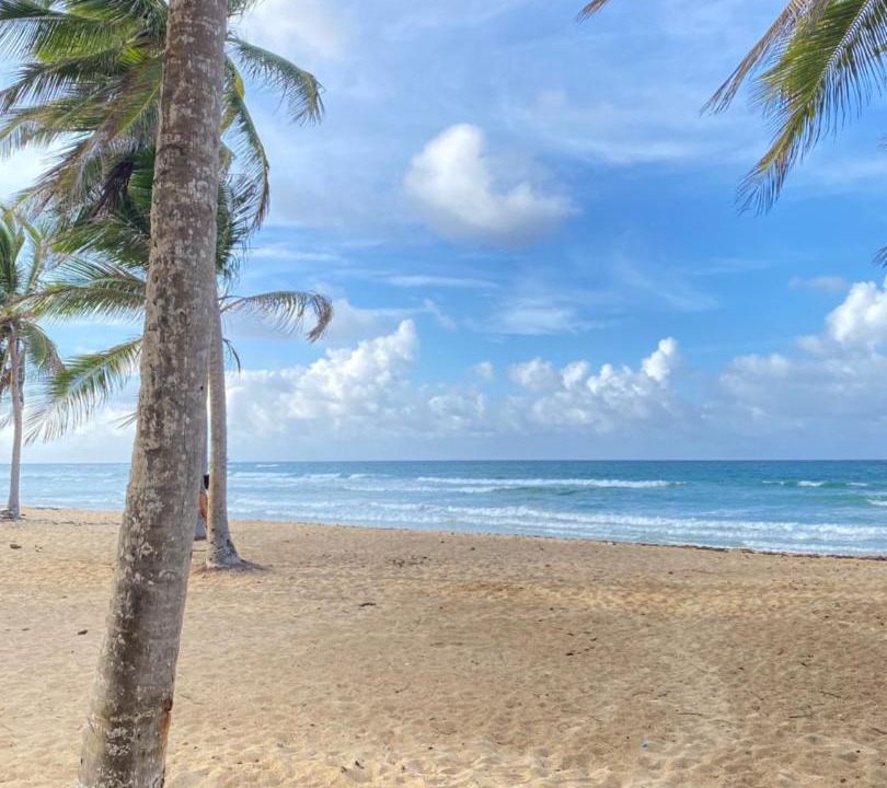 Photo of Others in Punta Cana