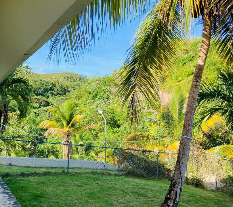 Photo of Others in Las Terrenas
