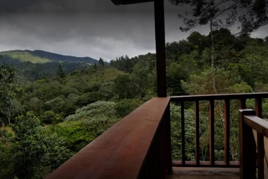 Photo of Others in Constanza