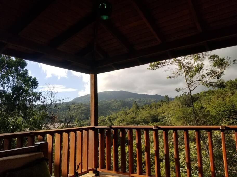 Photo of Patio Balcony in Constanza