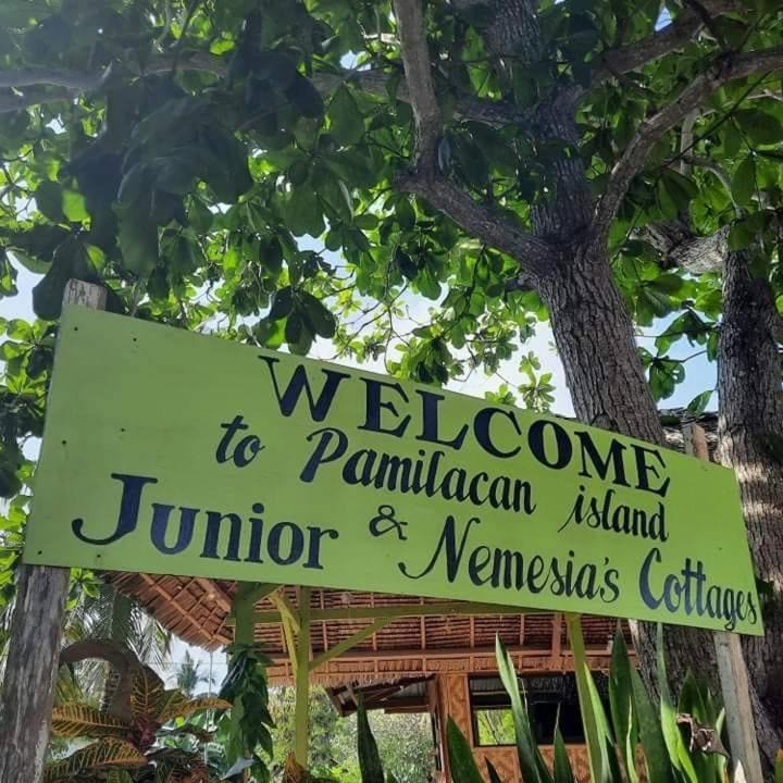 Photo of Others in Pamilacan Island