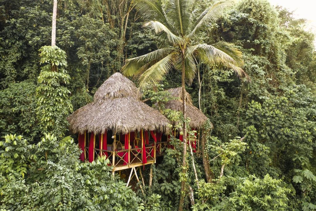 Photo of Others in Samana