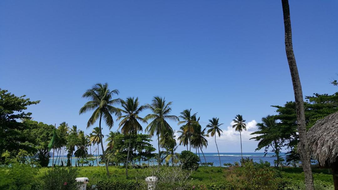 Photo of Others in Las Galeras