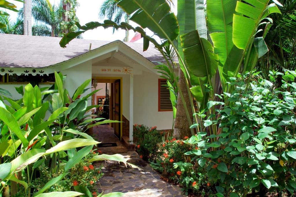 Photo of Buildings in Las Terrenas
