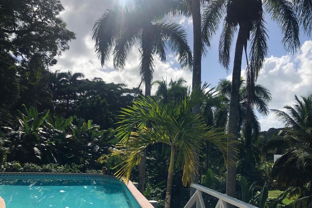 Photo of Outdoor in Las Terrenas