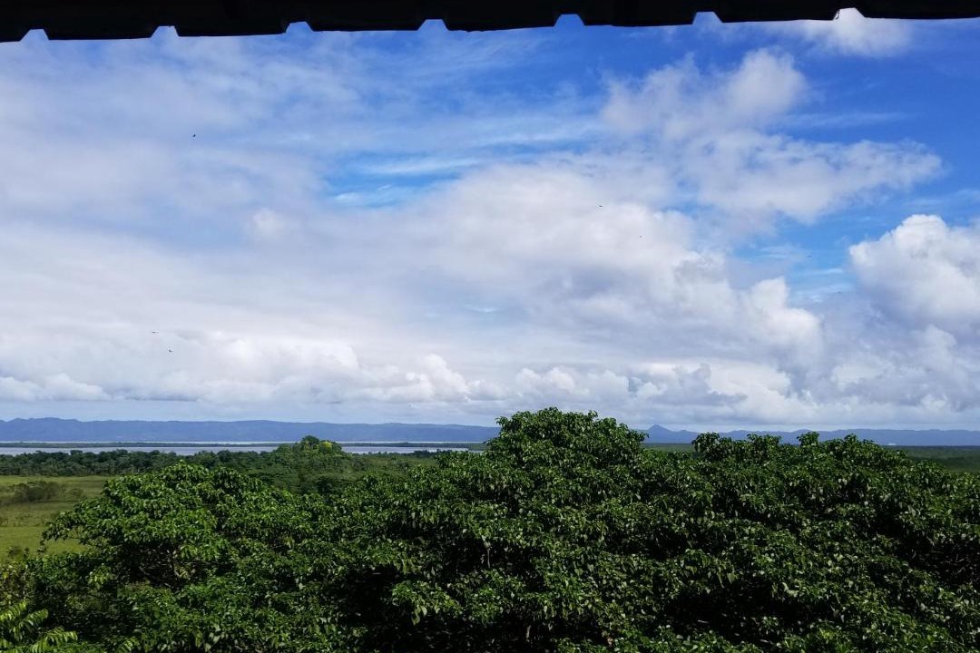 Photo of Others in Sabana de la Mar