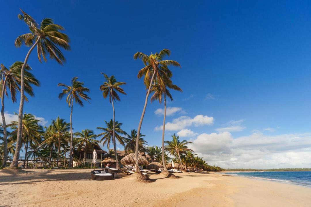 Photo of Others in Punta Cana