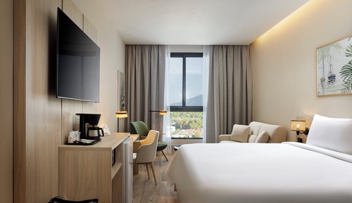 Standard Room, 1 King Bed, Mountain View