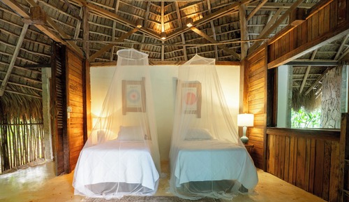 Standard Twin Room, Garden View