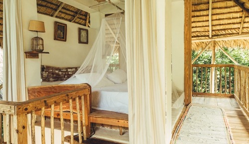 Superior Tree House, Garden View