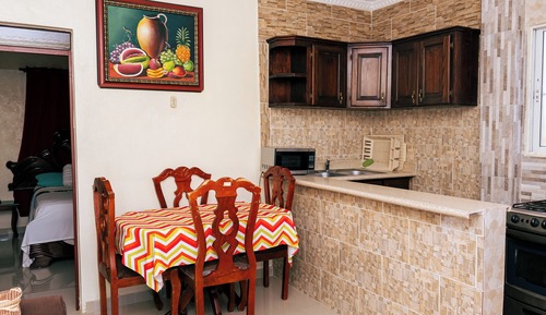 Premium Apartment, Kitchen