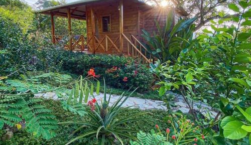 Villa with Garden View