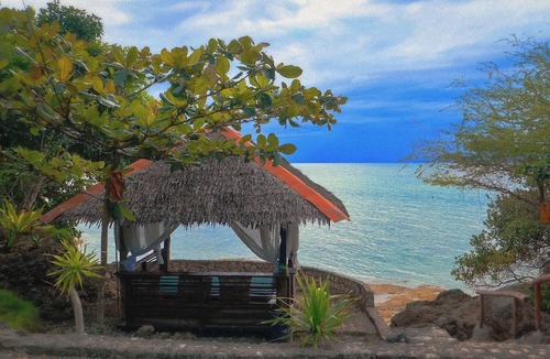 Moalboal Resort | Hale Manna Coastal Gardens