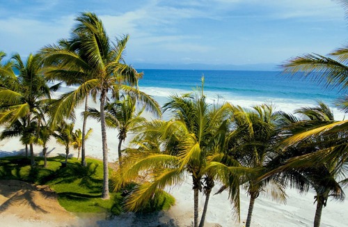 Punta Cana Resort | W Punta Cana, Adults